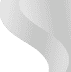 back image